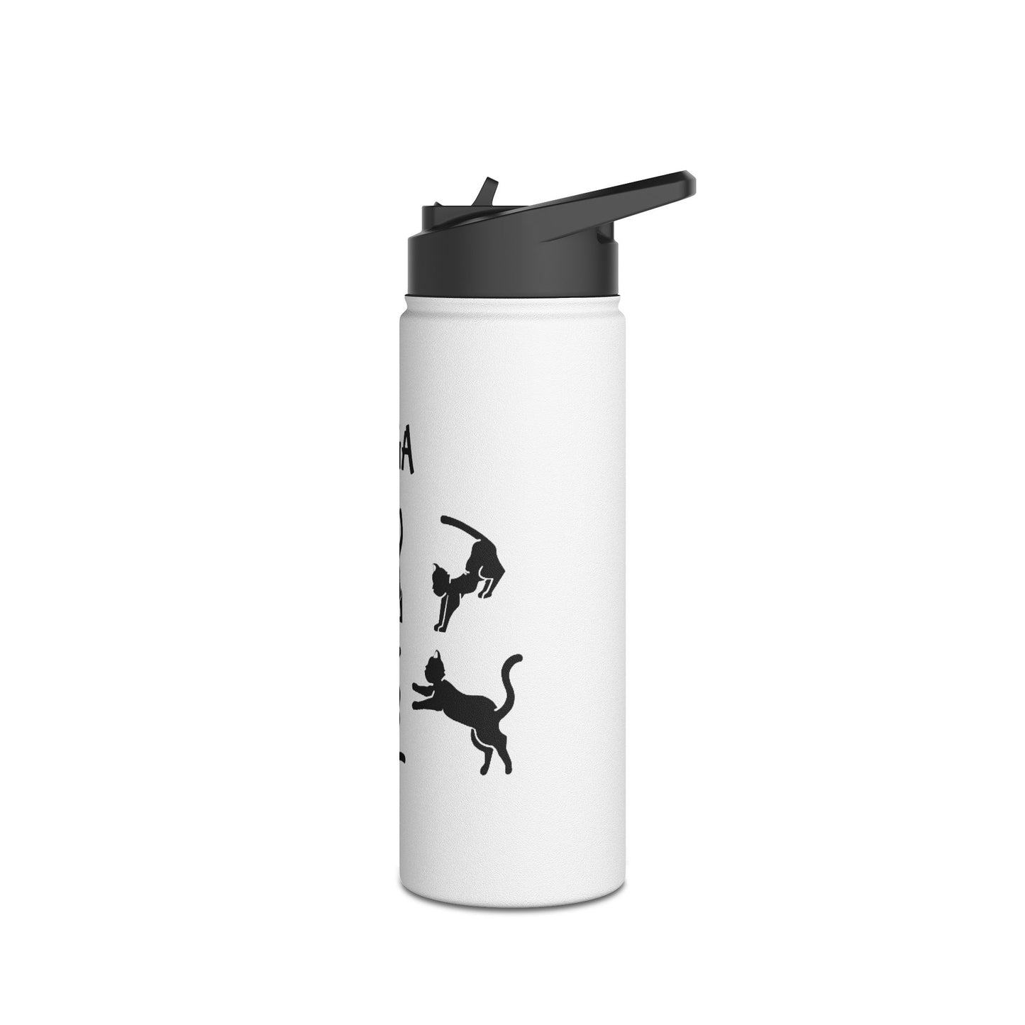 Yoga Cats Stainless Steel Water Bottle – Funny Cat Pose Design