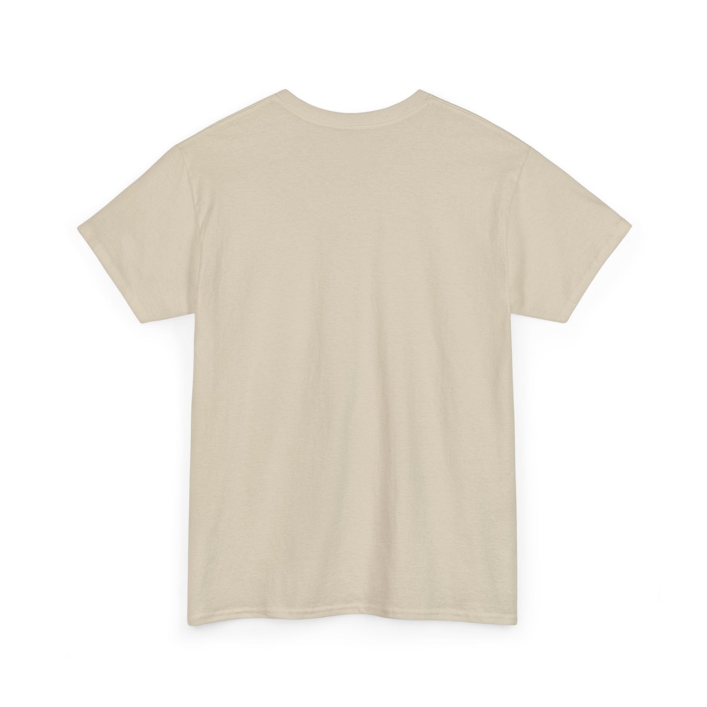 USA Flag T-Shirt — United States of America Patriotic Tee (Statue of Liberty, Capitol)